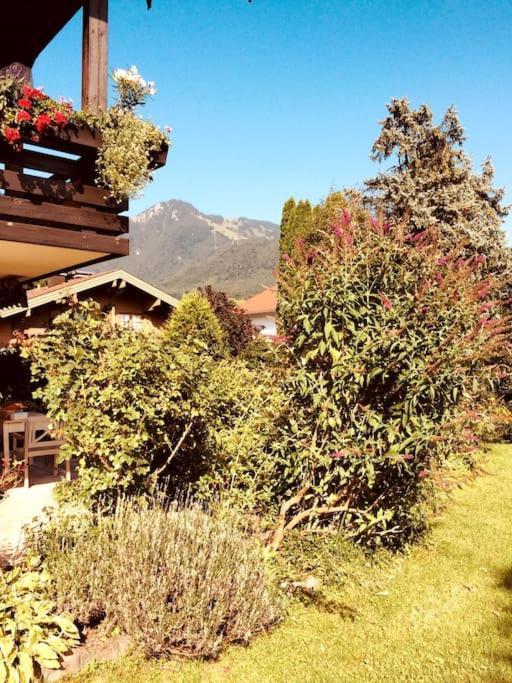 Charmantes Garten-apartment: Erholung Im Chiemgau Apartment *